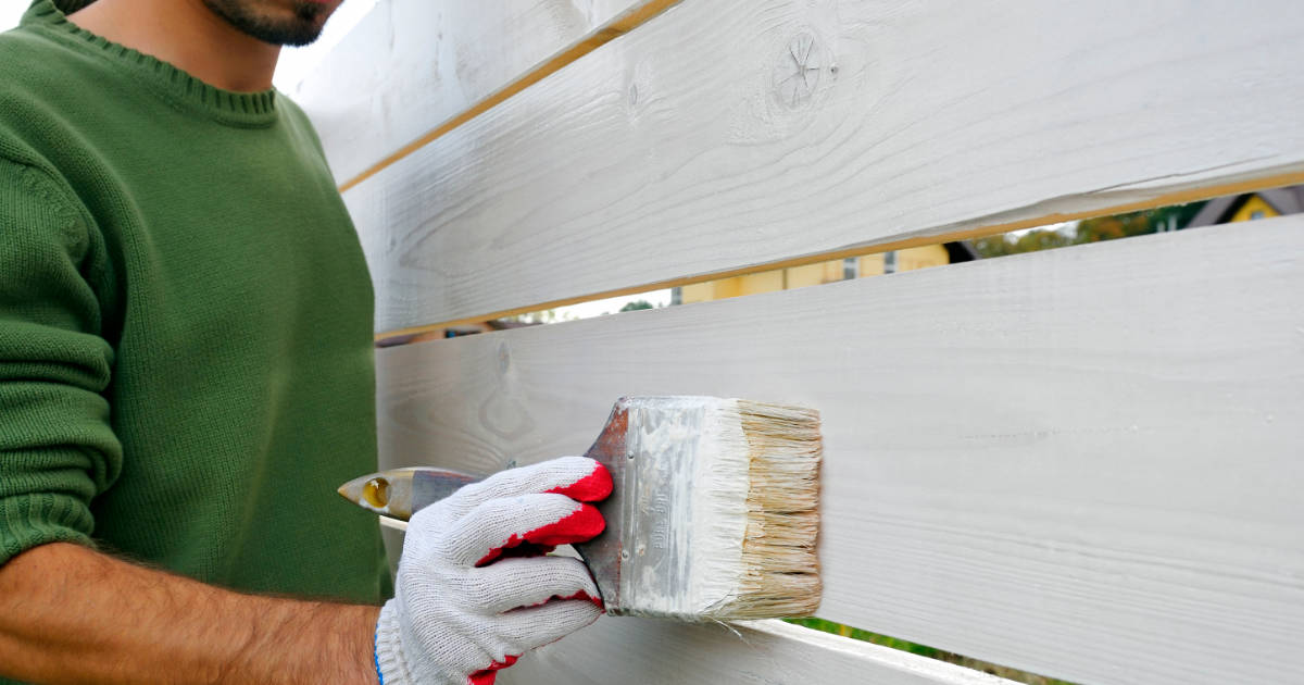 2025-01-b-spring-reno